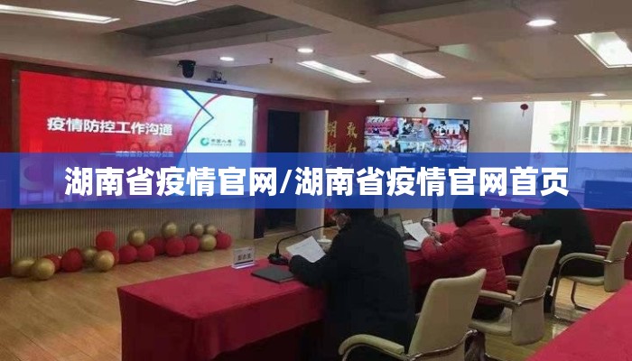 湖南省疫情官网/湖南省疫情官网首页