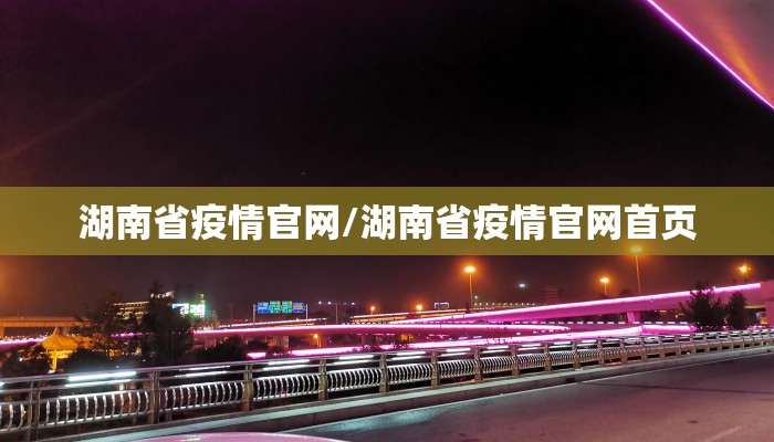 湖南省疫情官网/湖南省疫情官网首页
