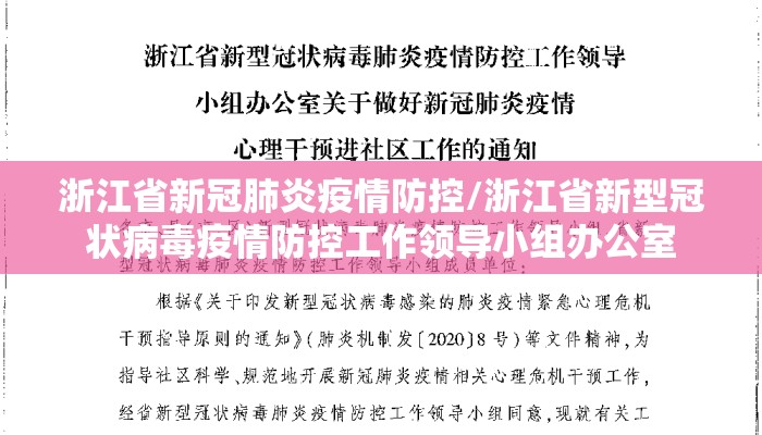 浙江省新冠肺炎疫情防控/浙江省新型冠状病毒疫情防控工作领导小组办公室