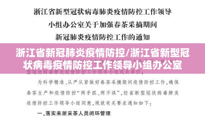 浙江省新冠肺炎疫情防控/浙江省新型冠状病毒疫情防控工作领导小组办公室