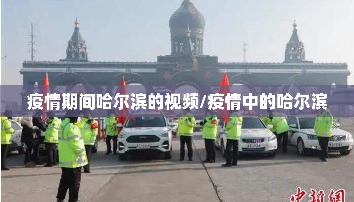 疫情期间哈尔滨的视频/疫情中的哈尔滨