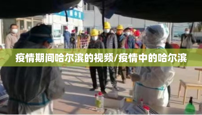 疫情期间哈尔滨的视频/疫情中的哈尔滨
