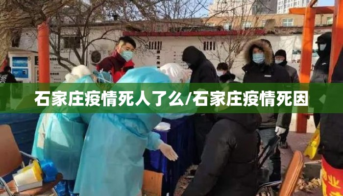 石家庄疫情死人了么/石家庄疫情死因