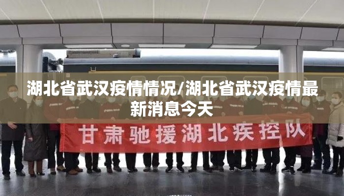 湖北省武汉疫情情况/湖北省武汉疫情最新消息今天