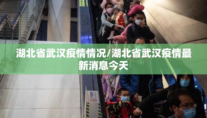 湖北省武汉疫情情况/湖北省武汉疫情最新消息今天