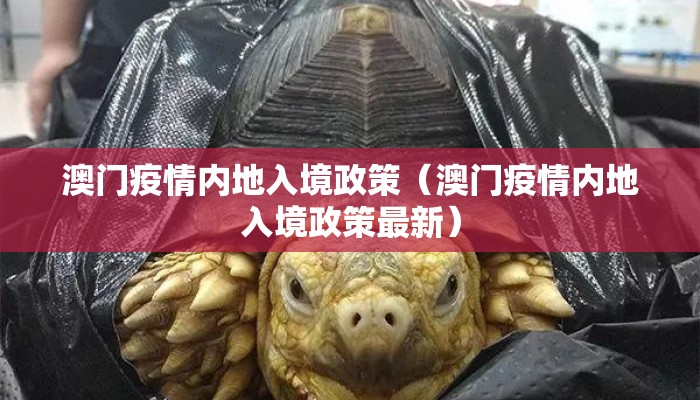 澳门疫情内地入境政策（澳门疫情内地入境政策最新）