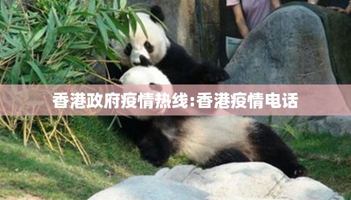 香港政府疫情热线:香港疫情电话