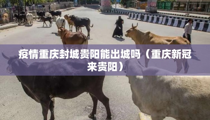 疫情重庆封城贵阳能出城吗（重庆新冠来贵阳）