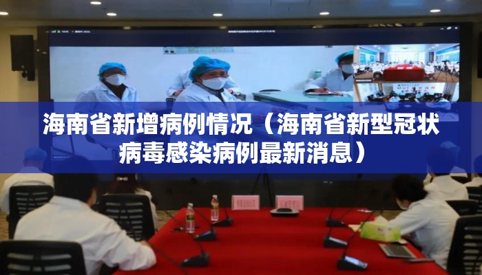 海南省新增病例情况（海南省新型冠状病毒感染病例最新消息）