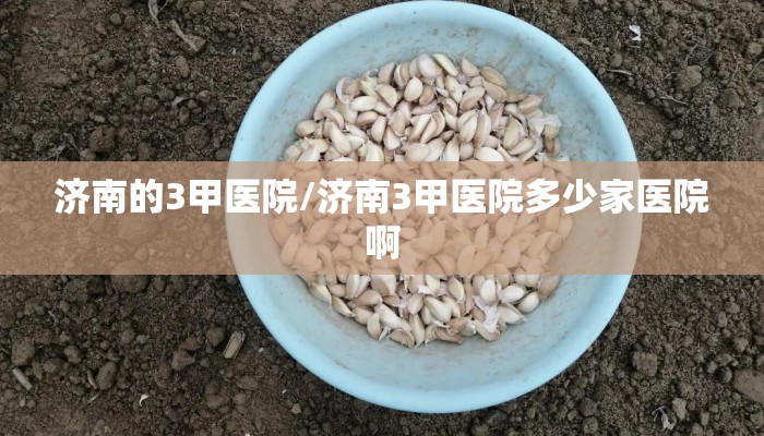 济南的3甲医院/济南3甲医院多少家医院啊
