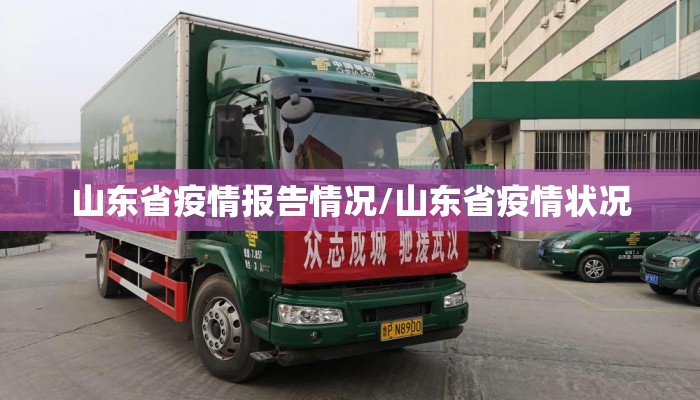 山东省疫情报告情况/山东省疫情状况