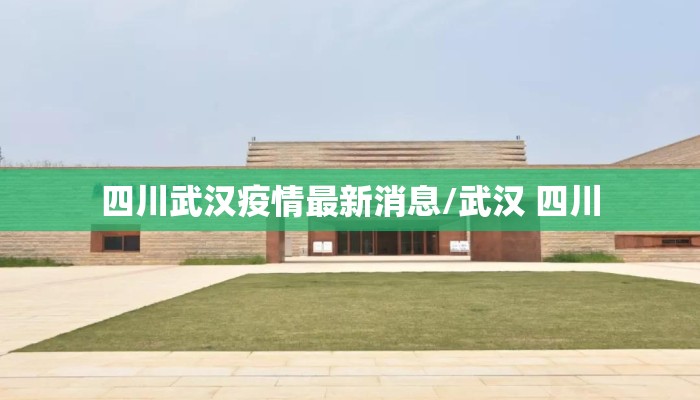 四川武汉疫情最新消息/武汉 四川