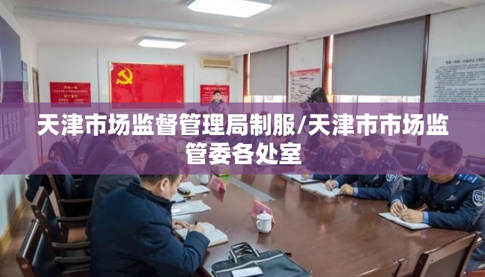 天津市场监督管理局制服/天津市市场监管委各处室