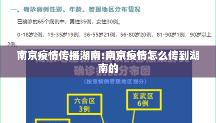 南京疫情传播湖南:南京疫情怎么传到湖南的