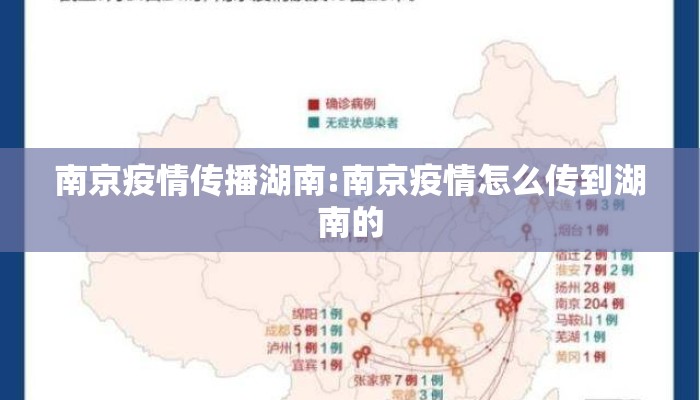 南京疫情传播湖南:南京疫情怎么传到湖南的