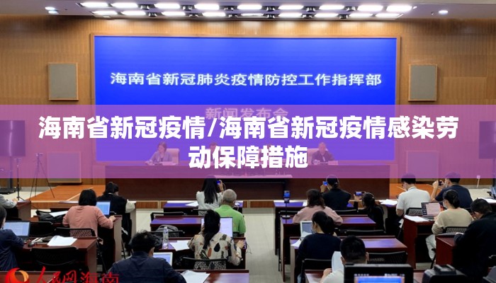海南省新冠疫情/海南省新冠疫情感染劳动保障措施