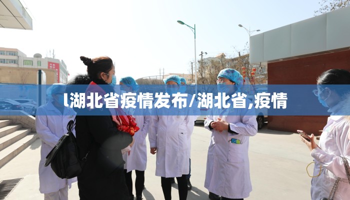 l湖北省疫情发布/湖北省,疫情