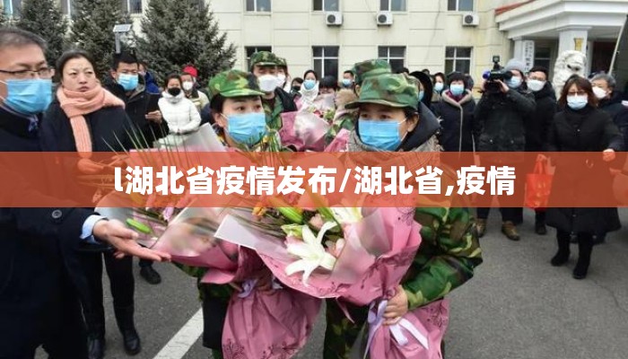 l湖北省疫情发布/湖北省,疫情