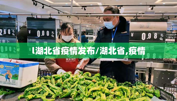 l湖北省疫情发布/湖北省,疫情