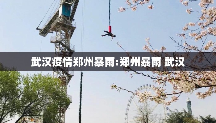 武汉疫情郑州暴雨:郑州暴雨 武汉