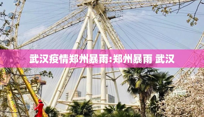武汉疫情郑州暴雨:郑州暴雨 武汉