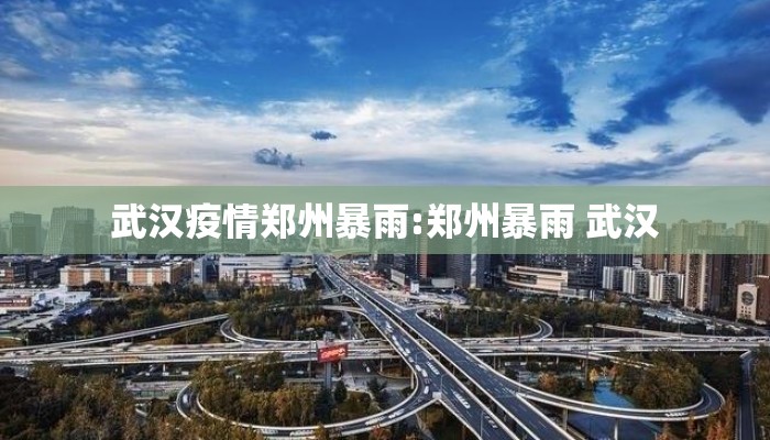 武汉疫情郑州暴雨:郑州暴雨 武汉