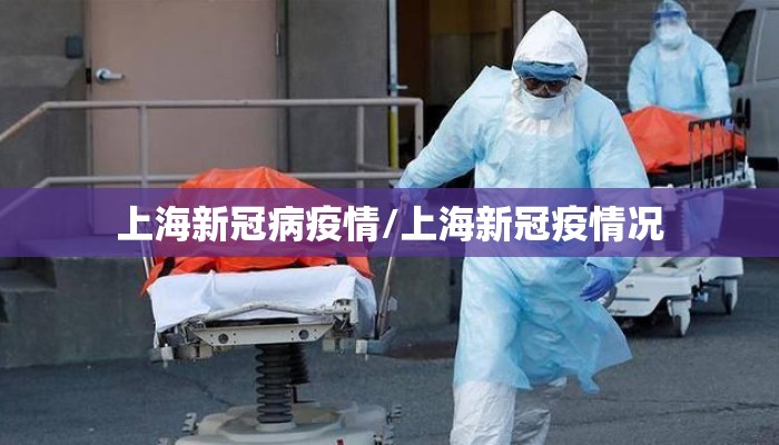 上海新冠病疫情/上海新冠疫情况
