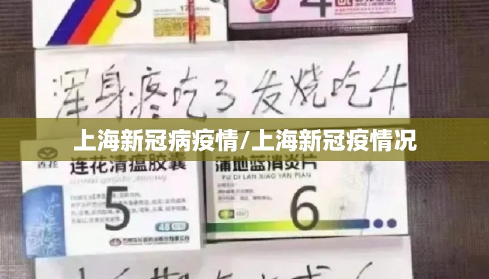 上海新冠病疫情/上海新冠疫情况