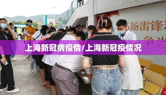 上海新冠病疫情/上海新冠疫情况