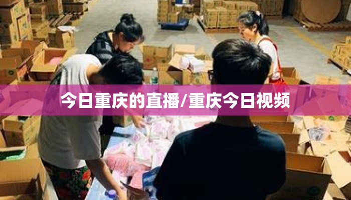 今日重庆的直播/重庆今日视频