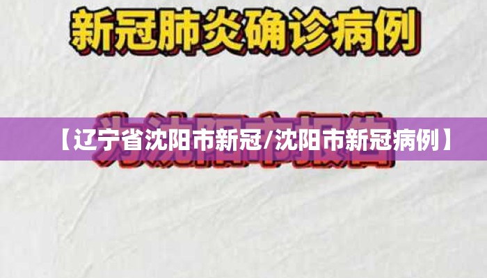 【辽宁省沈阳市新冠/沈阳市新冠病例】