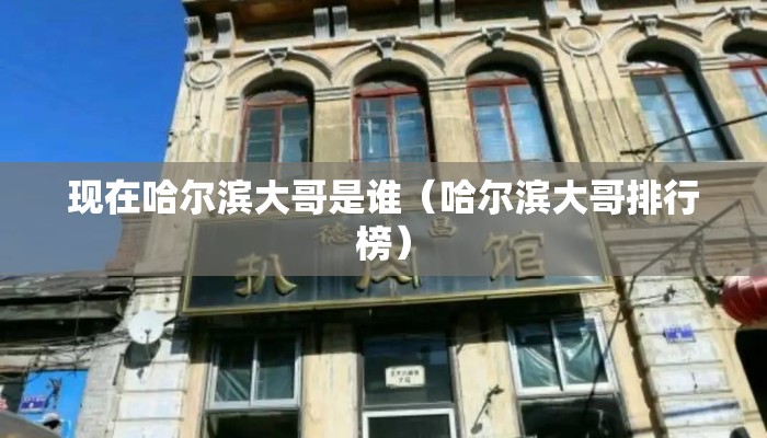 现在哈尔滨大哥是谁（哈尔滨大哥排行榜）