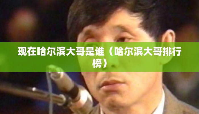 现在哈尔滨大哥是谁（哈尔滨大哥排行榜）