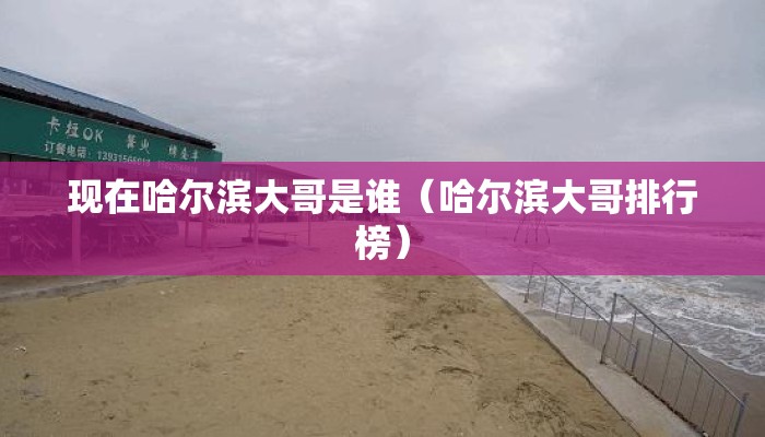 现在哈尔滨大哥是谁（哈尔滨大哥排行榜）