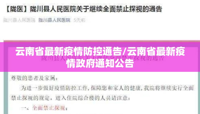 云南省最新疫情防控通告/云南省最新疫情政府通知公告