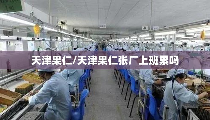 天津果仁/天津果仁张厂上班累吗