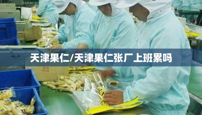 天津果仁/天津果仁张厂上班累吗