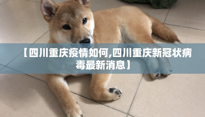 【四川重庆疫情如何,四川重庆新冠状病毒最新消息】