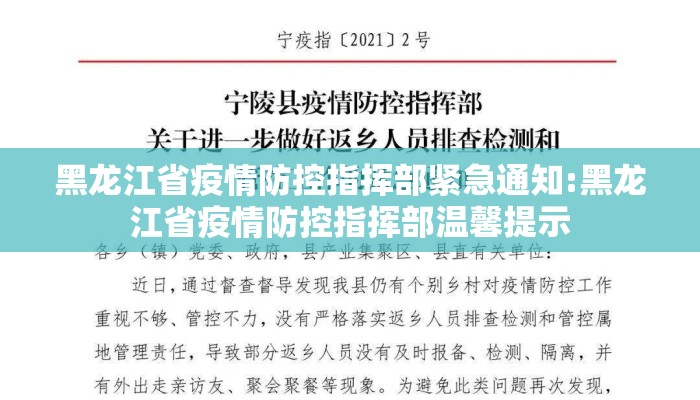 黑龙江省疫情防控指挥部紧急通知:黑龙江省疫情防控指挥部温馨提示