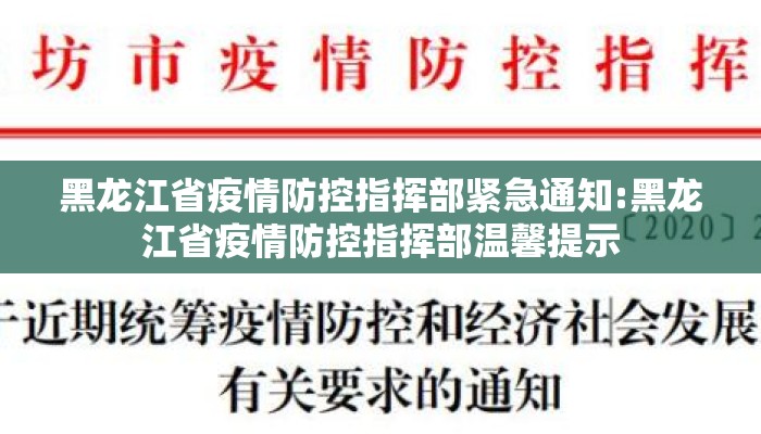 黑龙江省疫情防控指挥部紧急通知:黑龙江省疫情防控指挥部温馨提示