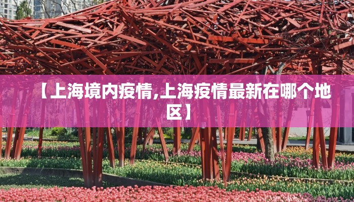 【上海境内疫情,上海疫情最新在哪个地区】