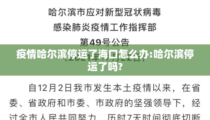 疫情哈尔滨停运了海口怎么办:哈尔滨停运了吗?