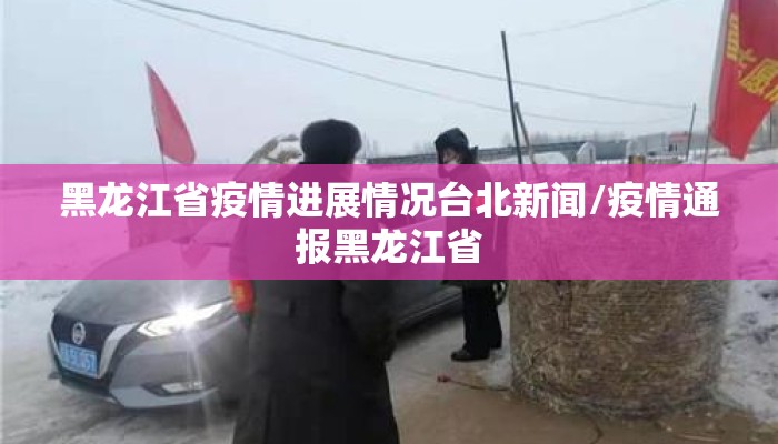 黑龙江省疫情进展情况台北新闻/疫情通报黑龙江省