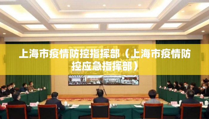 上海市疫情防控指挥部（上海市疫情防控应急指挥部）