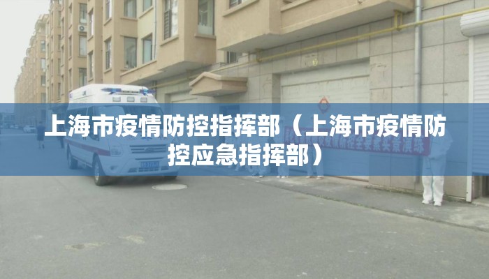 上海市疫情防控指挥部（上海市疫情防控应急指挥部）