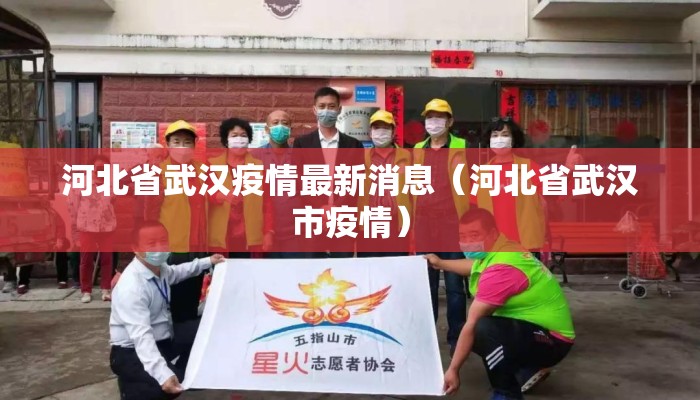 河北省武汉疫情最新消息（河北省武汉市疫情）