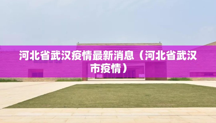 河北省武汉疫情最新消息（河北省武汉市疫情）