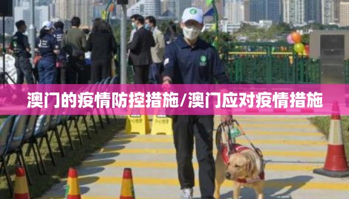 澳门的疫情防控措施/澳门应对疫情措施