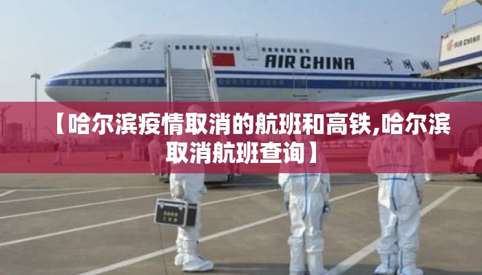 【哈尔滨疫情取消的航班和高铁,哈尔滨取消航班查询】
