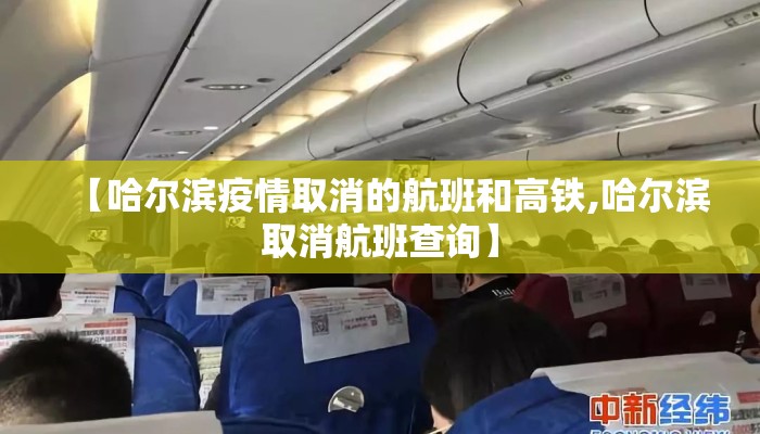 【哈尔滨疫情取消的航班和高铁,哈尔滨取消航班查询】